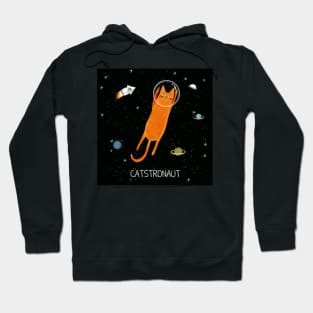 Cats in space. Hoodie